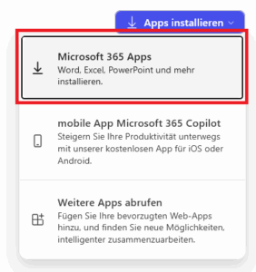 Screenshot Microsoft Office