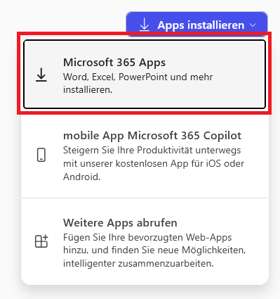 Screenshot Microsoft Office